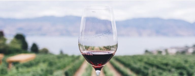 Nace el Hub Nacional Digitalización y Vino