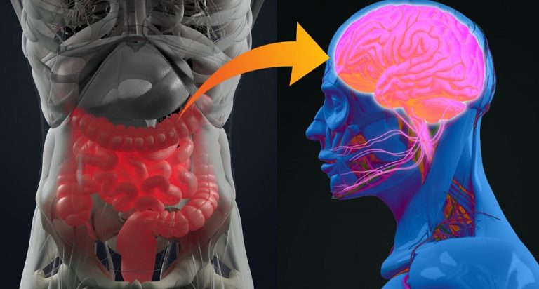 Estudio confirma la relación entre el Alzheimer y la microbiota intestinal