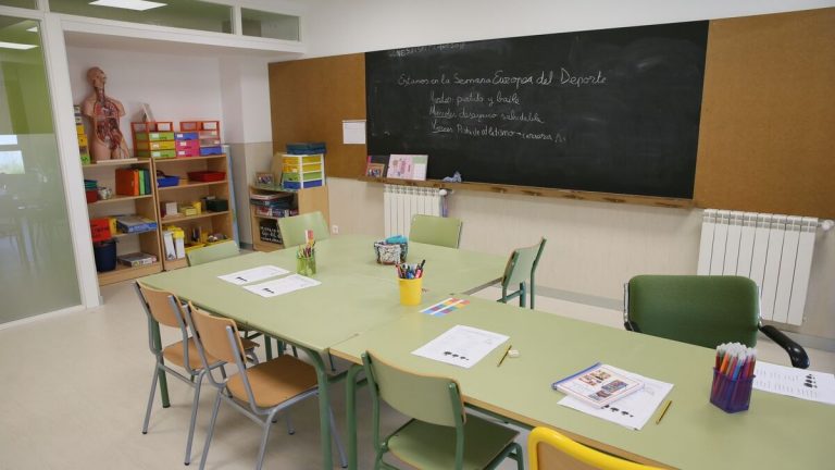 Eurocámara pide que se permita a niños con discapacidad estudiar en su lengua materna en entornos bilingües