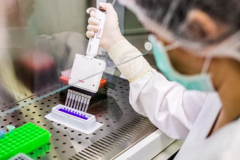 Illa destaca el trabajo de Zendal como un 