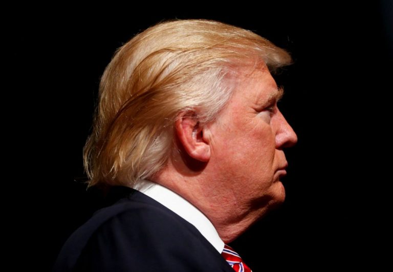 Investigador de debates electorales: 