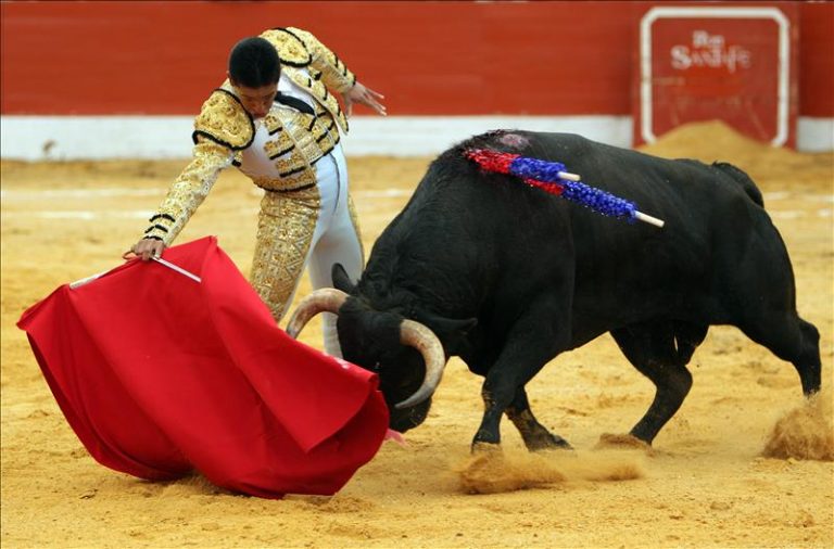 El Senado rechaza instar al Gobierno a reconocer la tauromaquia como seña de identidad propia de España