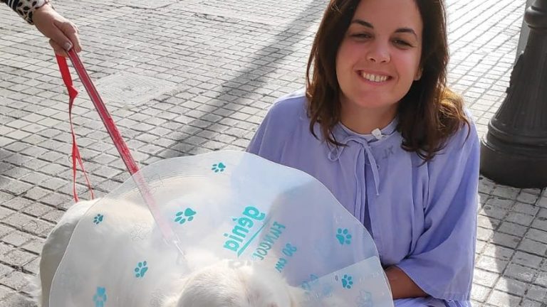 Absueltos los dueños del perro que atacó a la vicealcaldesa de Valencia