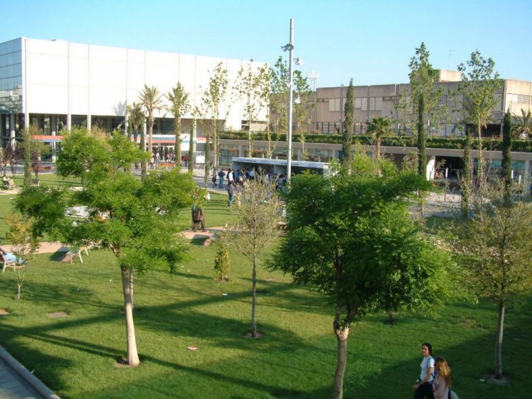 UPV premia a 50 profesores 
