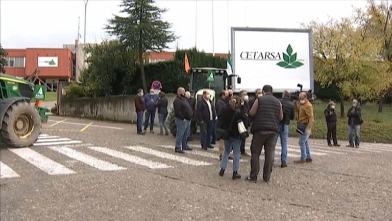 Tabaqueros extremeños retoman la entrega de tabaco a las industrias