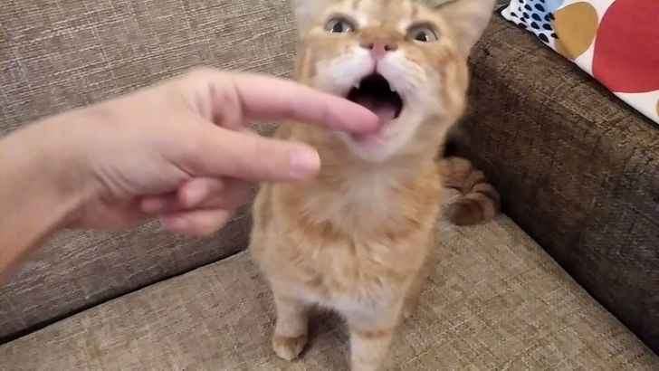 11 cosas que hacíamos de niños para entretenernos