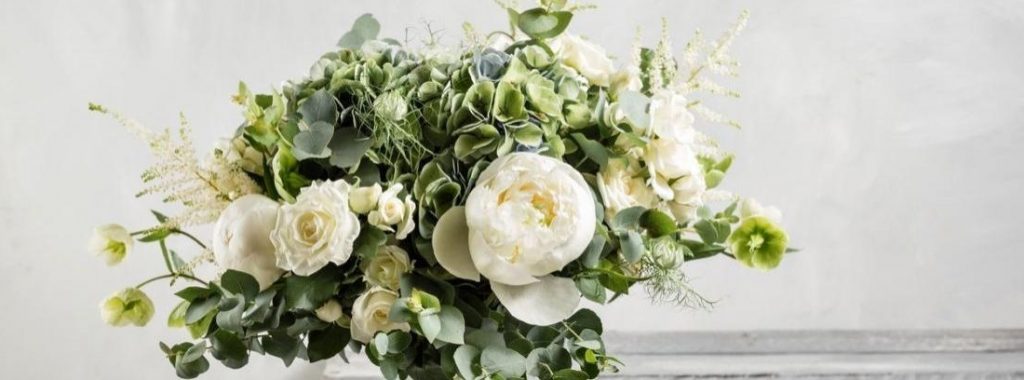 Flores en el desierto