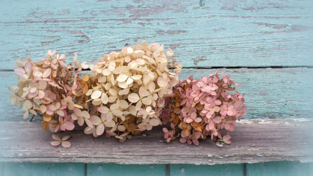 Dejarlas a la intemperie