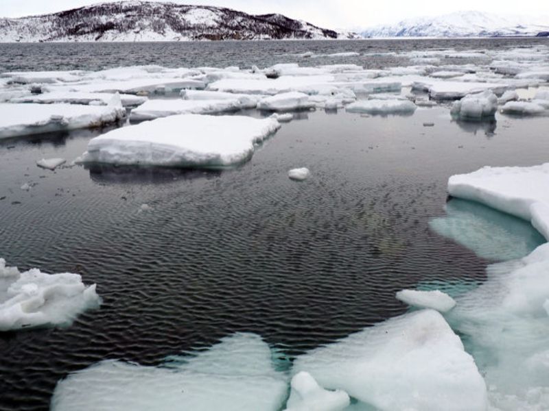 consecuencia del efecto invernadero
