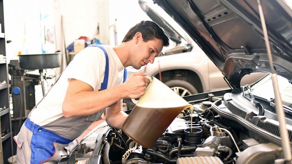 Paso 4: Datos que puedes ver en la normativa