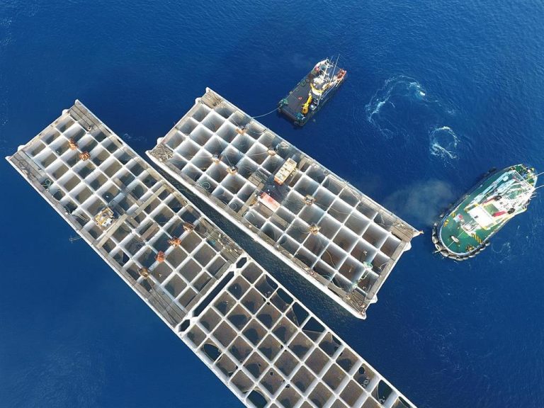 Desarrollan un software que determina la vida de estructuras de hormigón en ambientes marinos