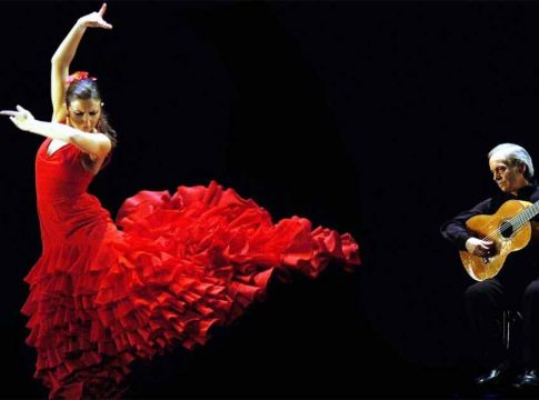 Qué es el flamenco Qué es el flamenco