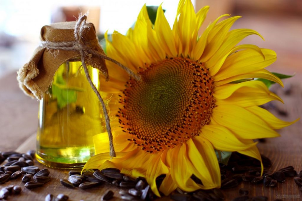 El aceite de girasol también posee nutrientes muy interesantes.