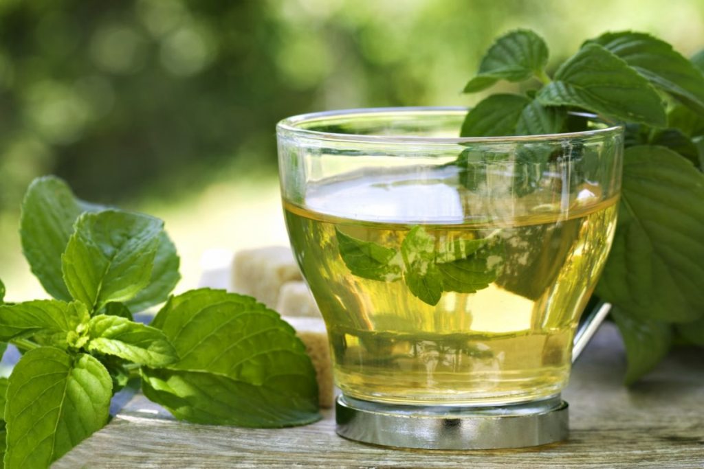 Alimentos que te ayudan a prevenir las arrugas 141 Té verde