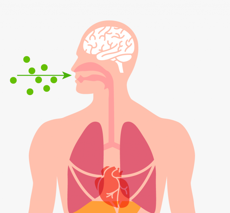 Remedios caseros para quitar la tos