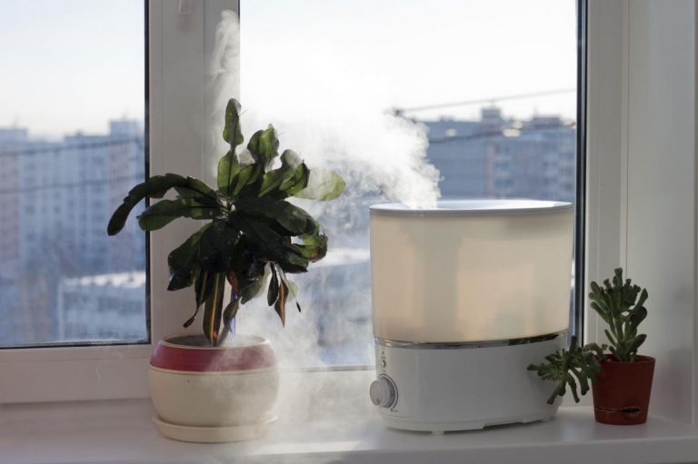 Cómo humidificar el ambiente de una habitación de forma casera