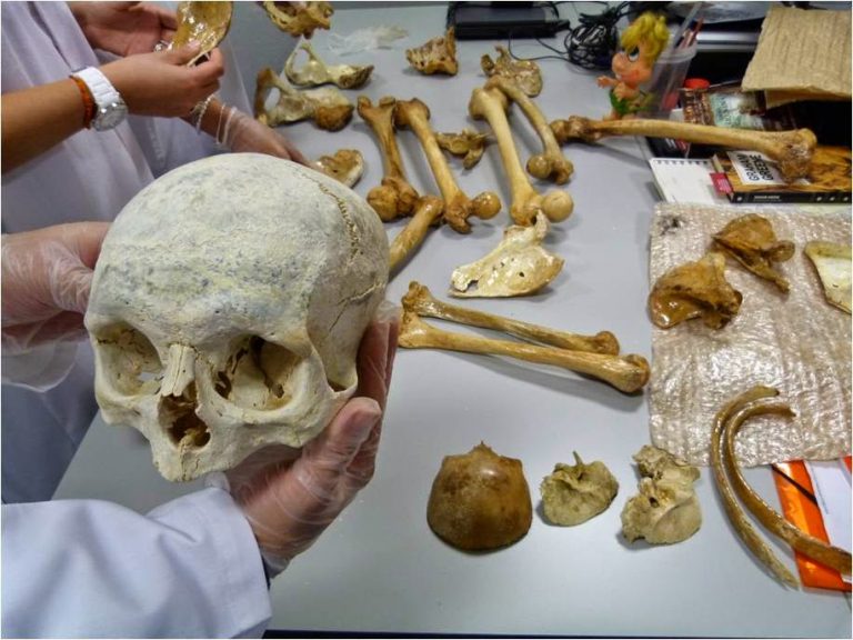 Qué es la antropología