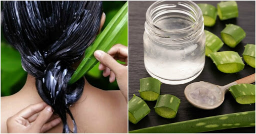 Cómo eliminar la caspa 5 Aloe vera para la caspa