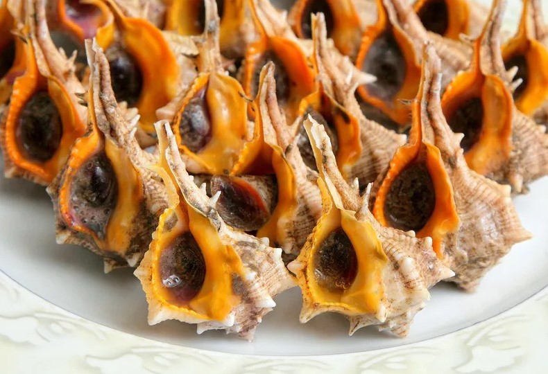 Cómo cocer cañaillas y que queden perfectas 1 cocer cañaillas