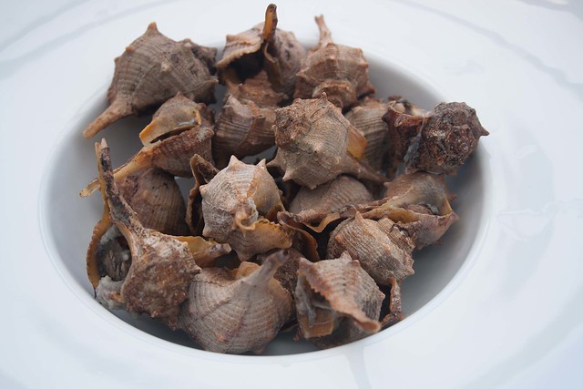 Cómo cocer cañaillas y que queden perfectas 3 cañaillas4