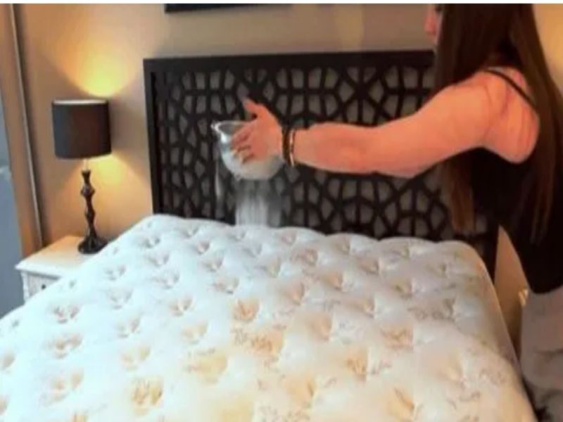 desinfectar el colchon