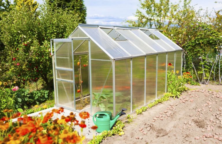 Cómo construir un invernadero