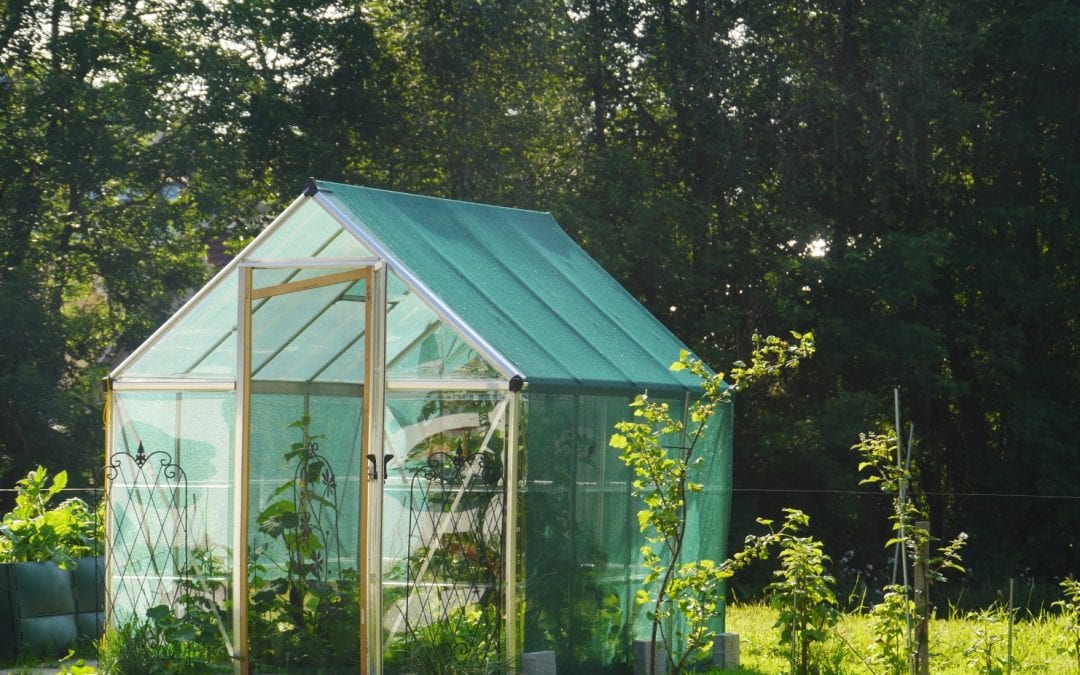 construyendo un invernadero