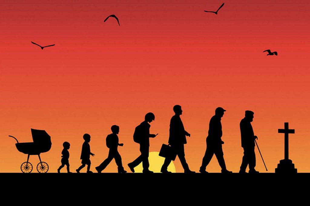 Qué es la dignidad 3 La dignidad como derecho