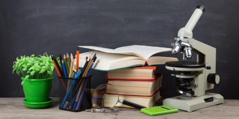 Marea Verde convocan huelga este jueves por una educación pública