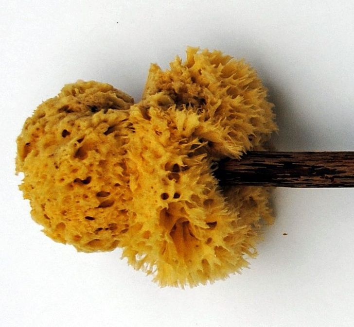 Esto es lo que existía antes del papel higiénico