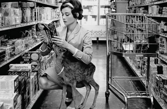 fotografías impresionantes de momentos históricos