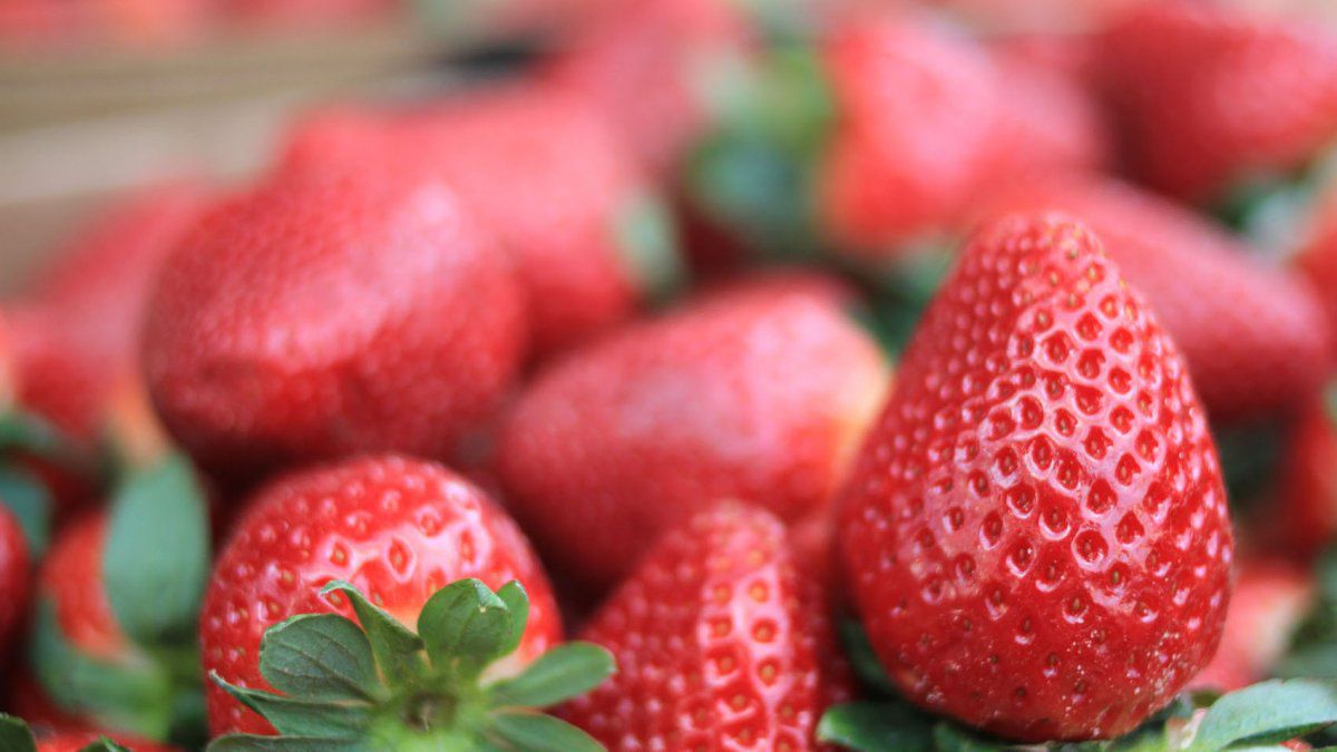 Cómo desinfectar la fruta 2 Fresas