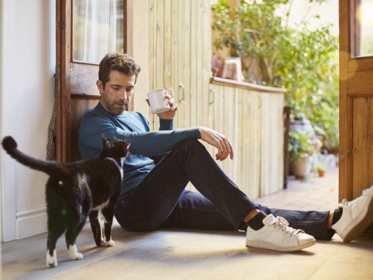 Cómo ser el mejor amigo de un gato (sin sufrir por el camino)