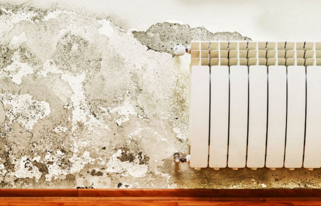 Tipos de humedades en la pared