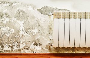 Un arquitecto avisa: las gotas en las ventanas al despertar son señal de humedades en casa