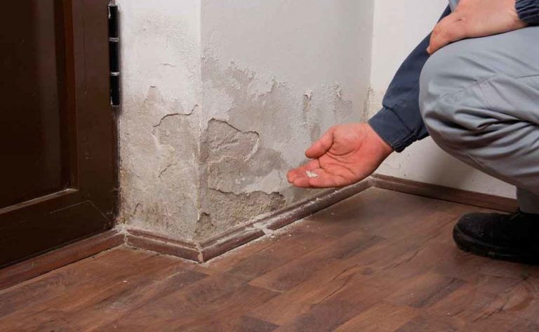 Como eliminar la humedad del hogar de forma efectiva y rápida