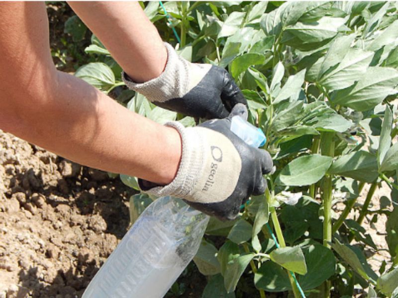 Cómo hacer jabón potásico en casa para desinfectar a fondo 25 como se utiliza