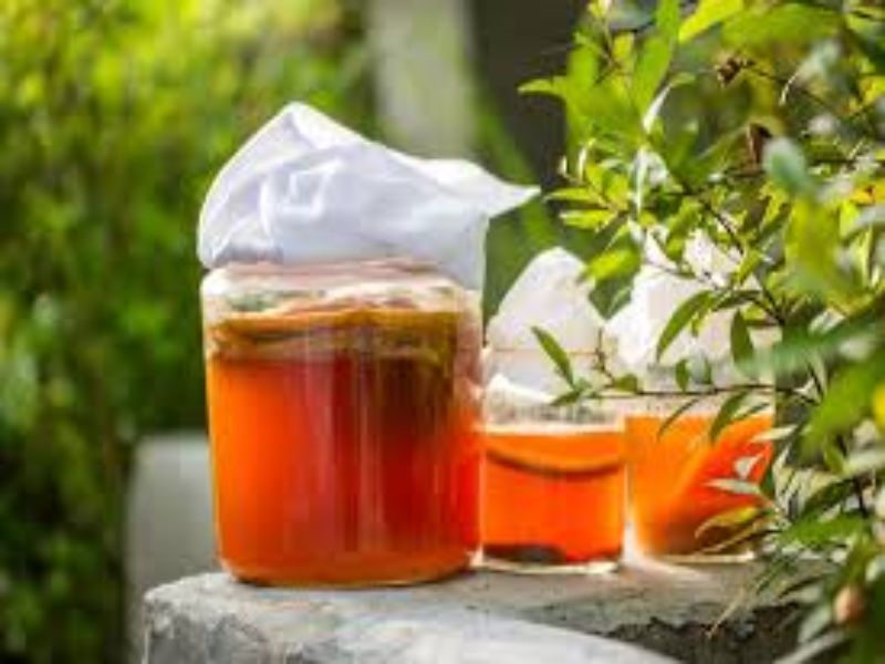 la madre del vinagre