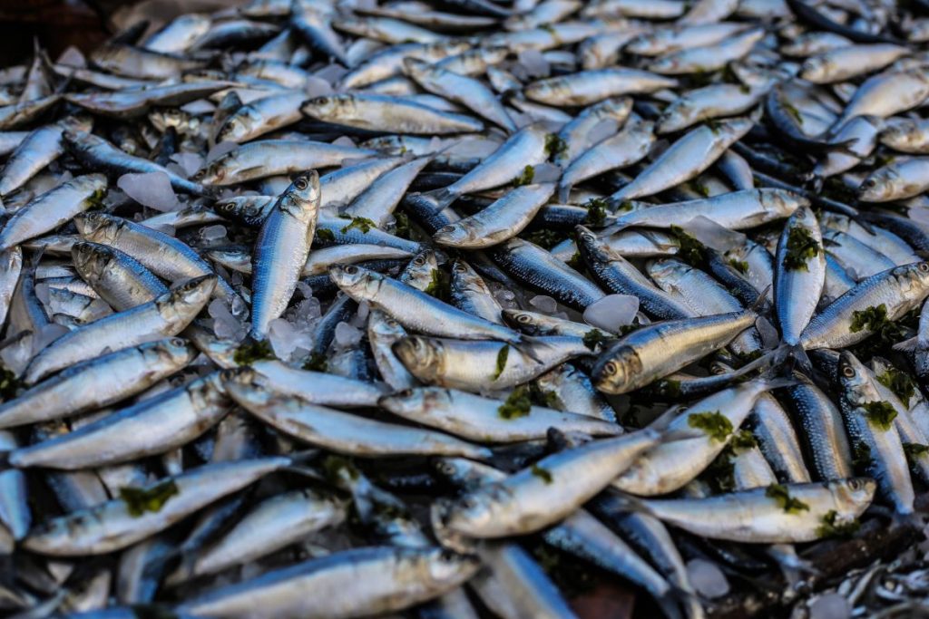 los peligros del pescado crudo