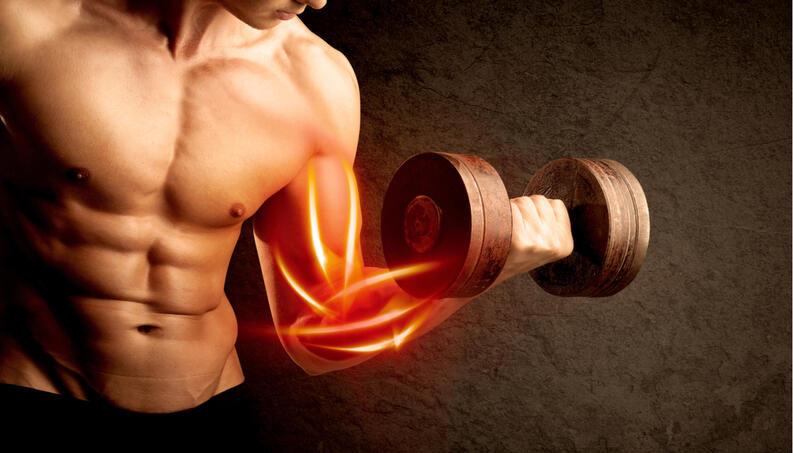 Tipos de fisionomía