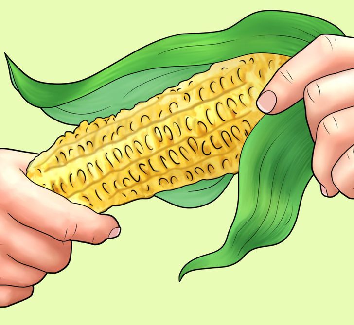 Esto es lo que existía antes del papel higiénico