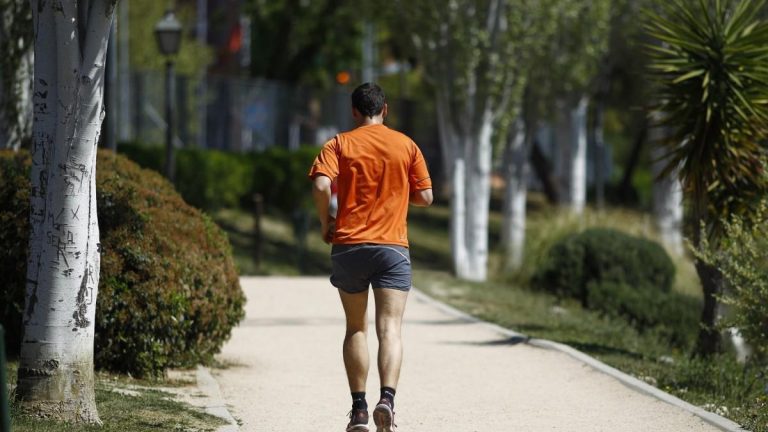 Qué es el metabolismo basal