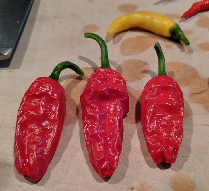 ¡Cuidado! Alimentos que no deberías acercar a un microondas