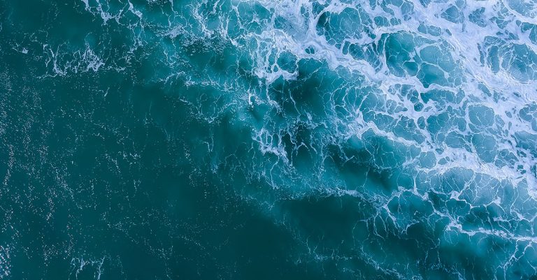 Estudio plantea dudas sobre los efectos del pescado de acuicultura los ecosistemas oceánicos