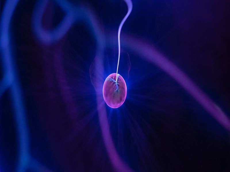 Qué es la oxitocina 5 otras funciones de la sustancia