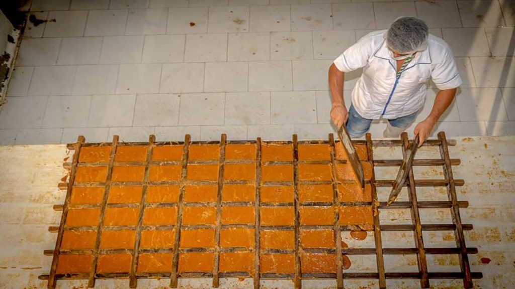 Qué es la panela 3 Aportes saludables