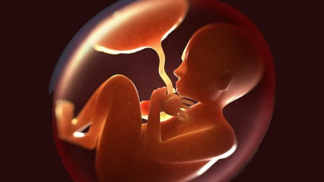 Complicaciones placentarios comunes: