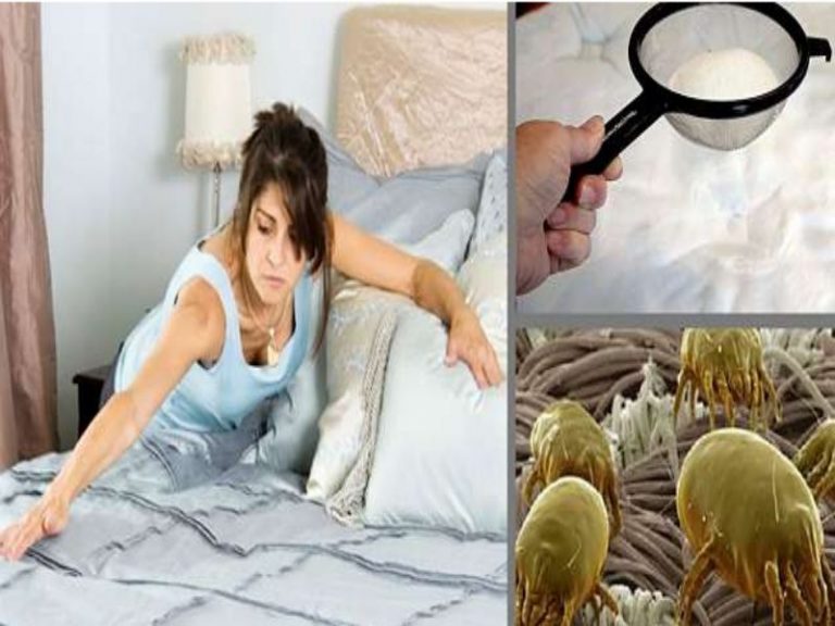 Cómo desinfectar un colchón