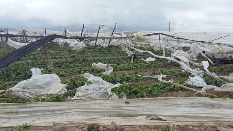 Un remolino de viento causa daños en unas diez hectáreas de invernaderos de El Ejido