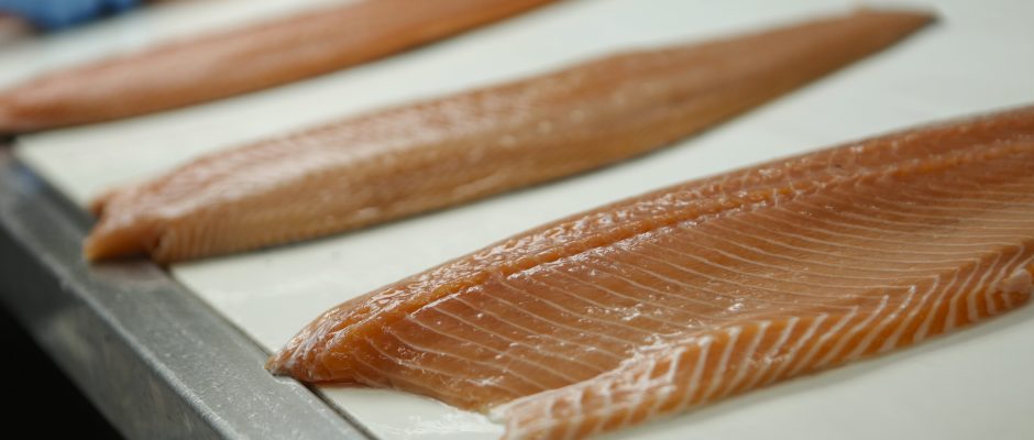 Cómo hacer un salmón ahumado que esté delicioso 6 Paso 4 refrigeración